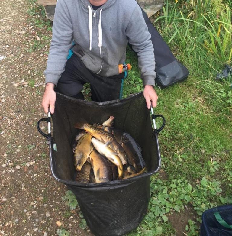 Peacock Lake Glamping Nottingham Eksteriør billede